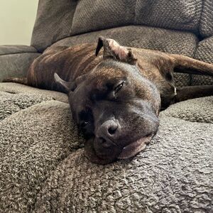 Meet your Posher, Tanya